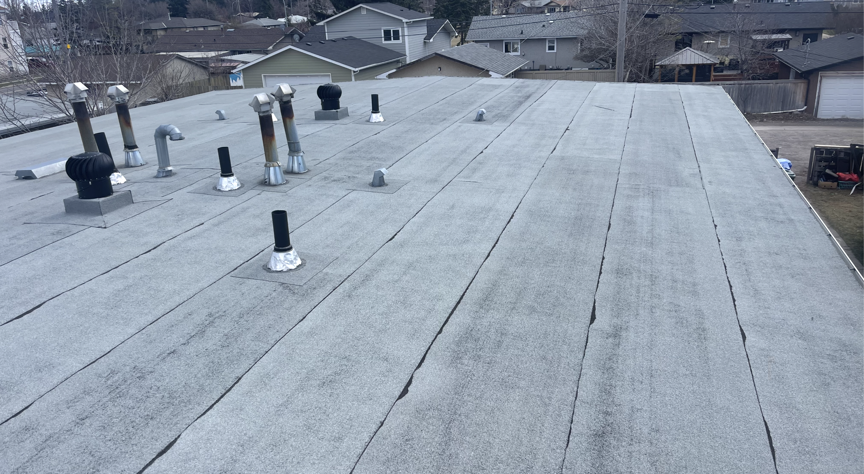 Roof Cleaning and Pressure Washing