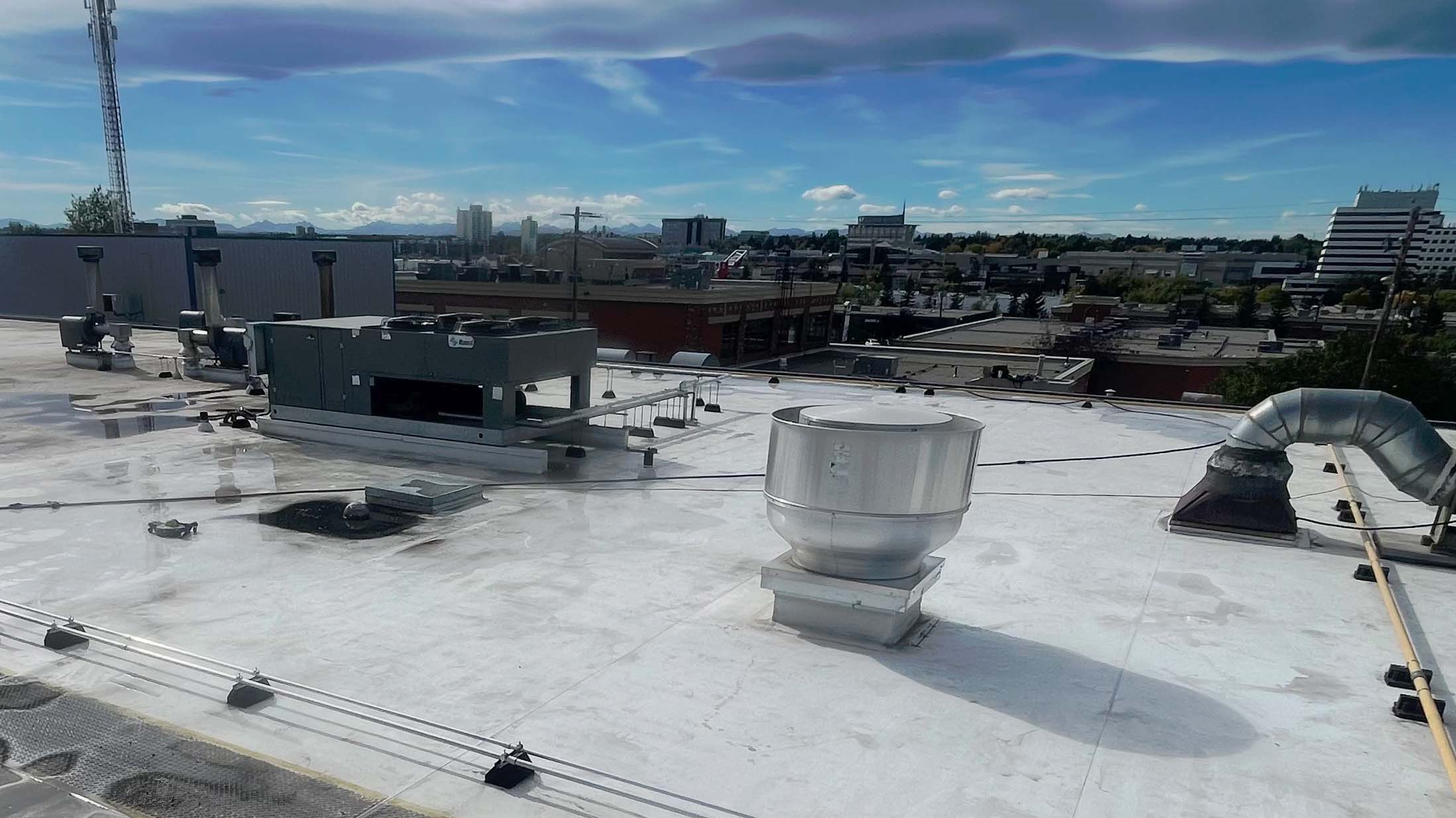 Roof Cleaning and Pressure Washing